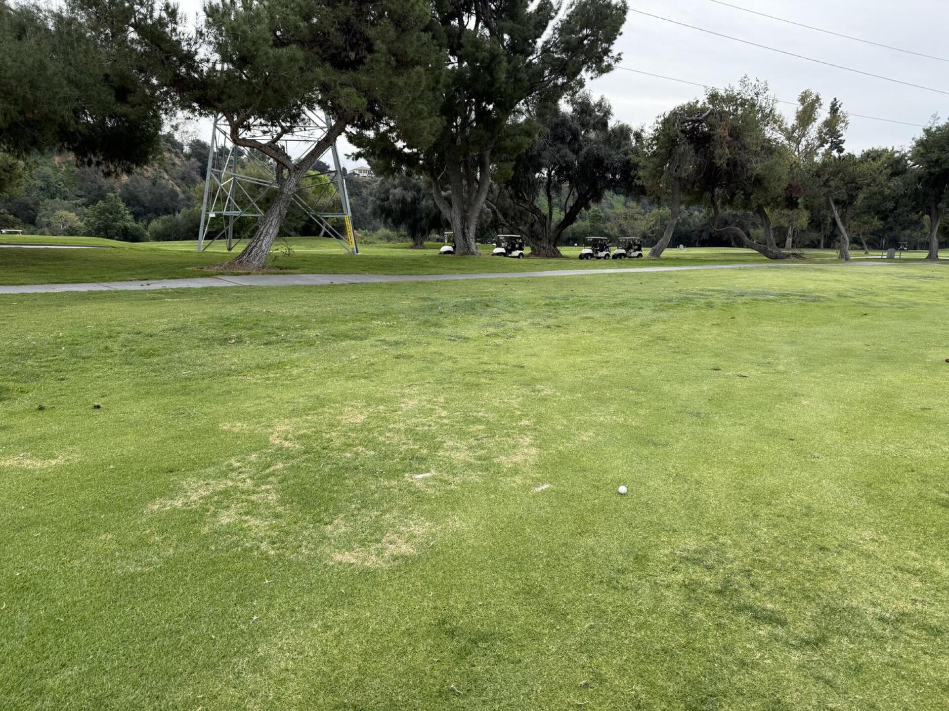 3 groups on hole 2 (Photo submitted by u907117592 on 02/15/2026)