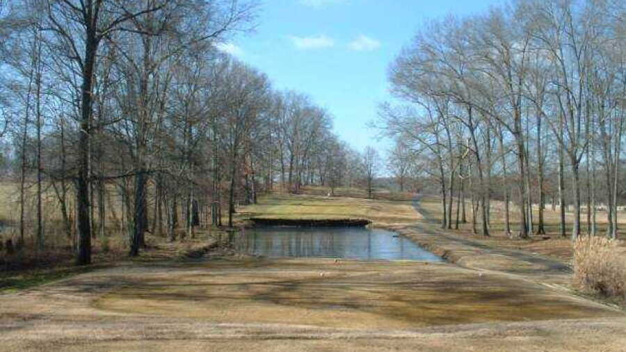 White Pine GC: #5