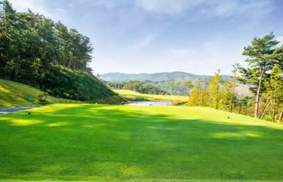 Baekje CC - Hansung: #4