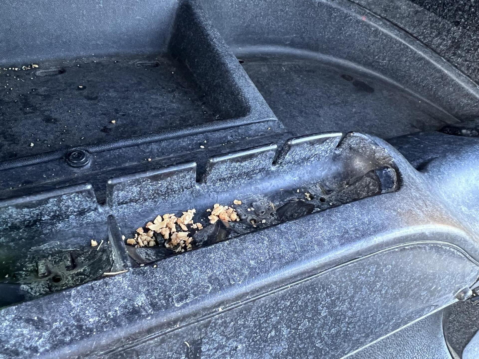 Gross and Dirty Cart (Photo submitted by wagwag on 05/01/2023)