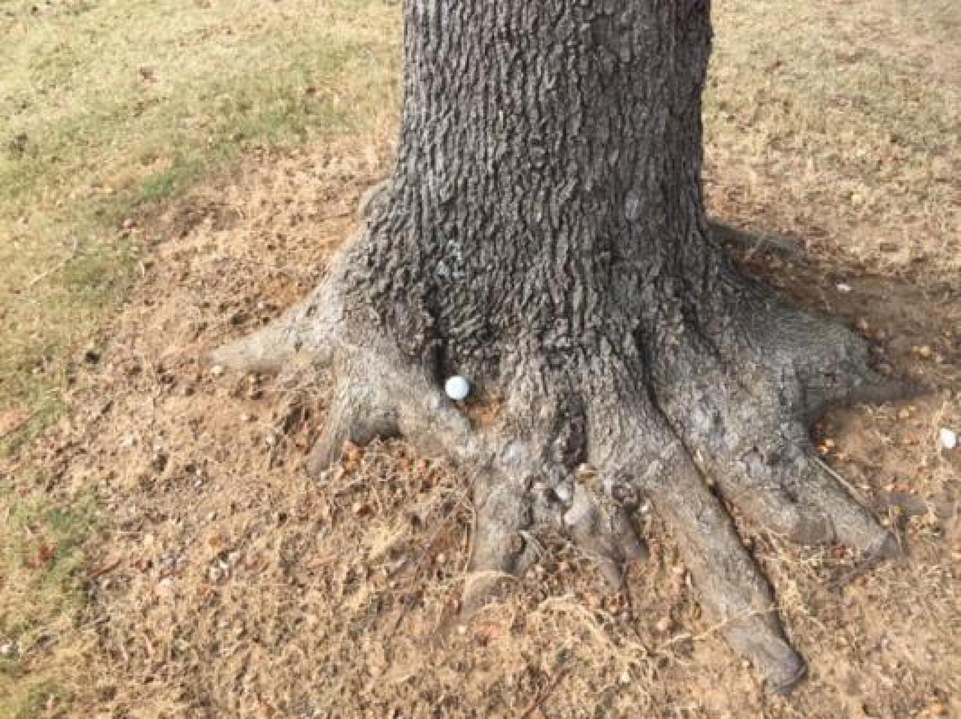 (Photo submitted by Lawrence2273488 on 11/04/2014)