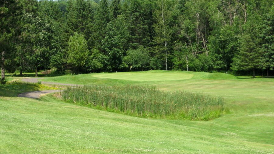 Tee-Away GC: #8