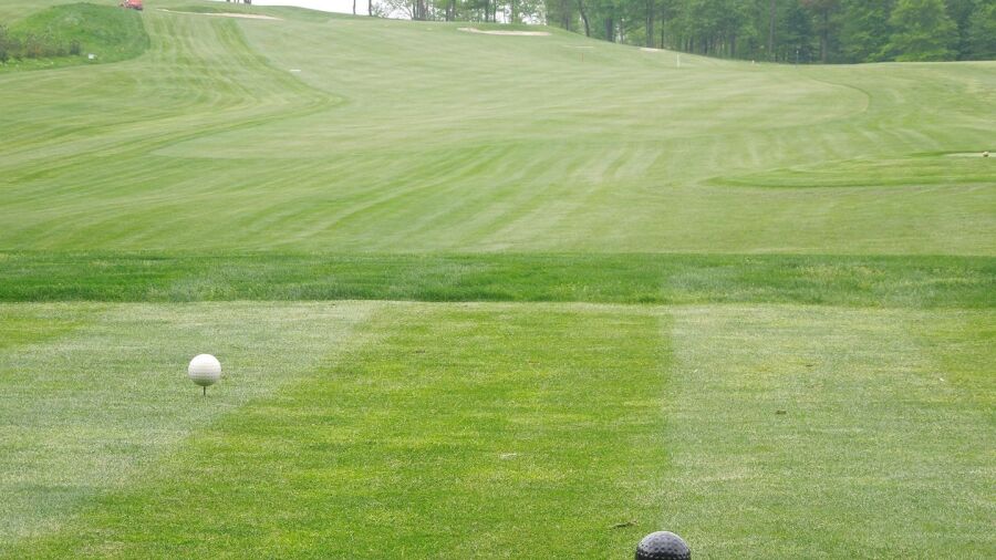 Whitetail Ridge GC: #8