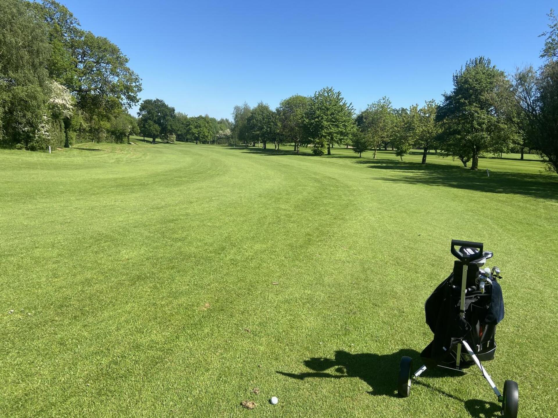 (Photo submitted by u314160932391 on 05/30/2021)