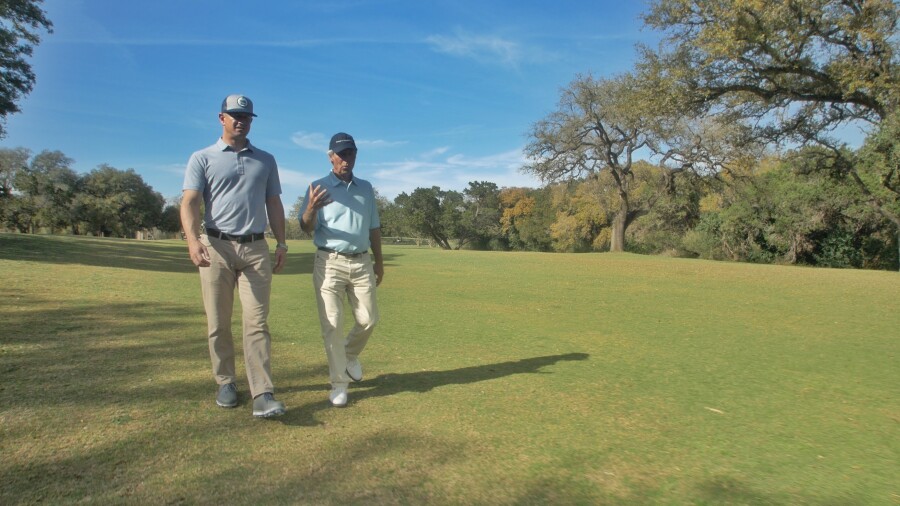 Ginella's Journeys: 2016 in Pictures - Lions