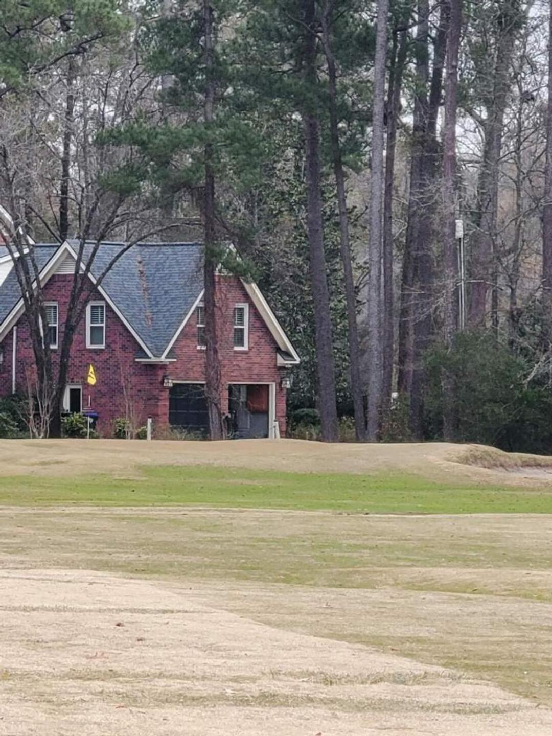 (Photo submitted by davidc59 on 01/09/2024)