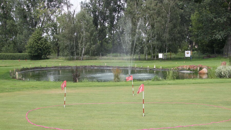 Tarfort GC: Practice area