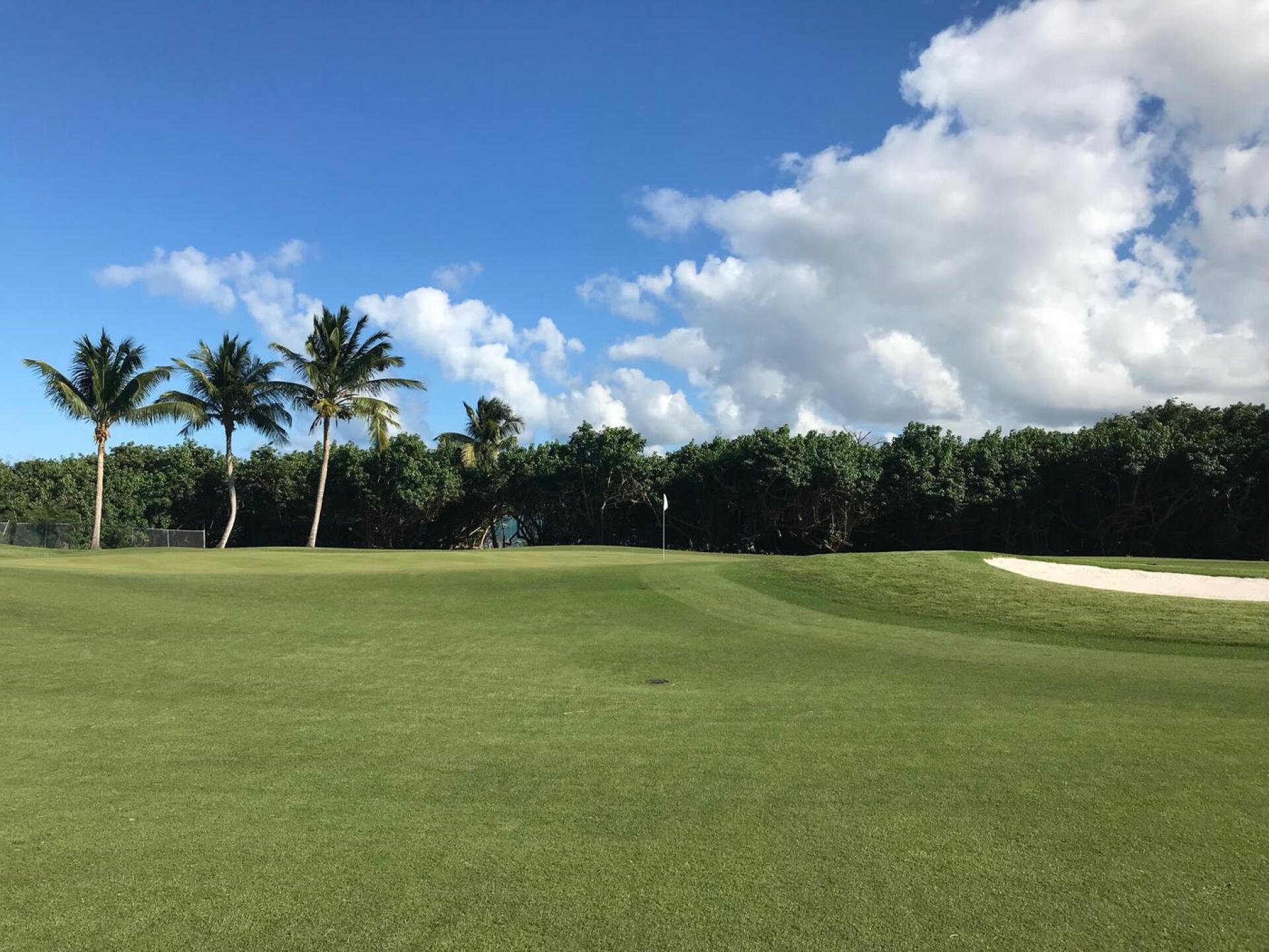 (Photo submitted by MikeBaileyGolf on 02/18/2019)