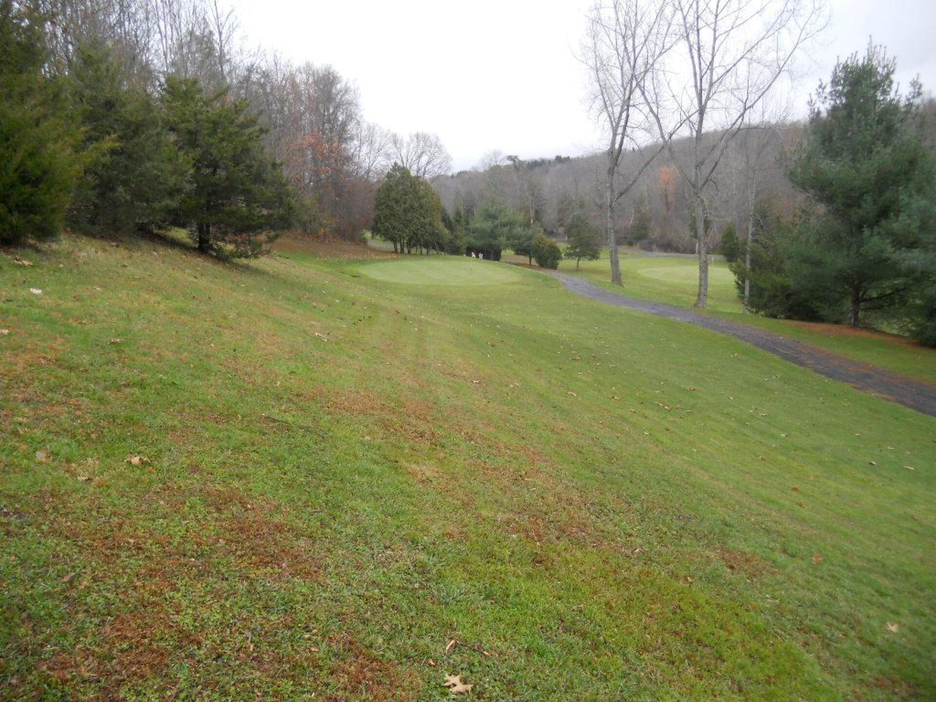 Most challenging hole: the 5th, with greenside problems right. (Photo submitted by AptlyLinked on 11/23/2019)