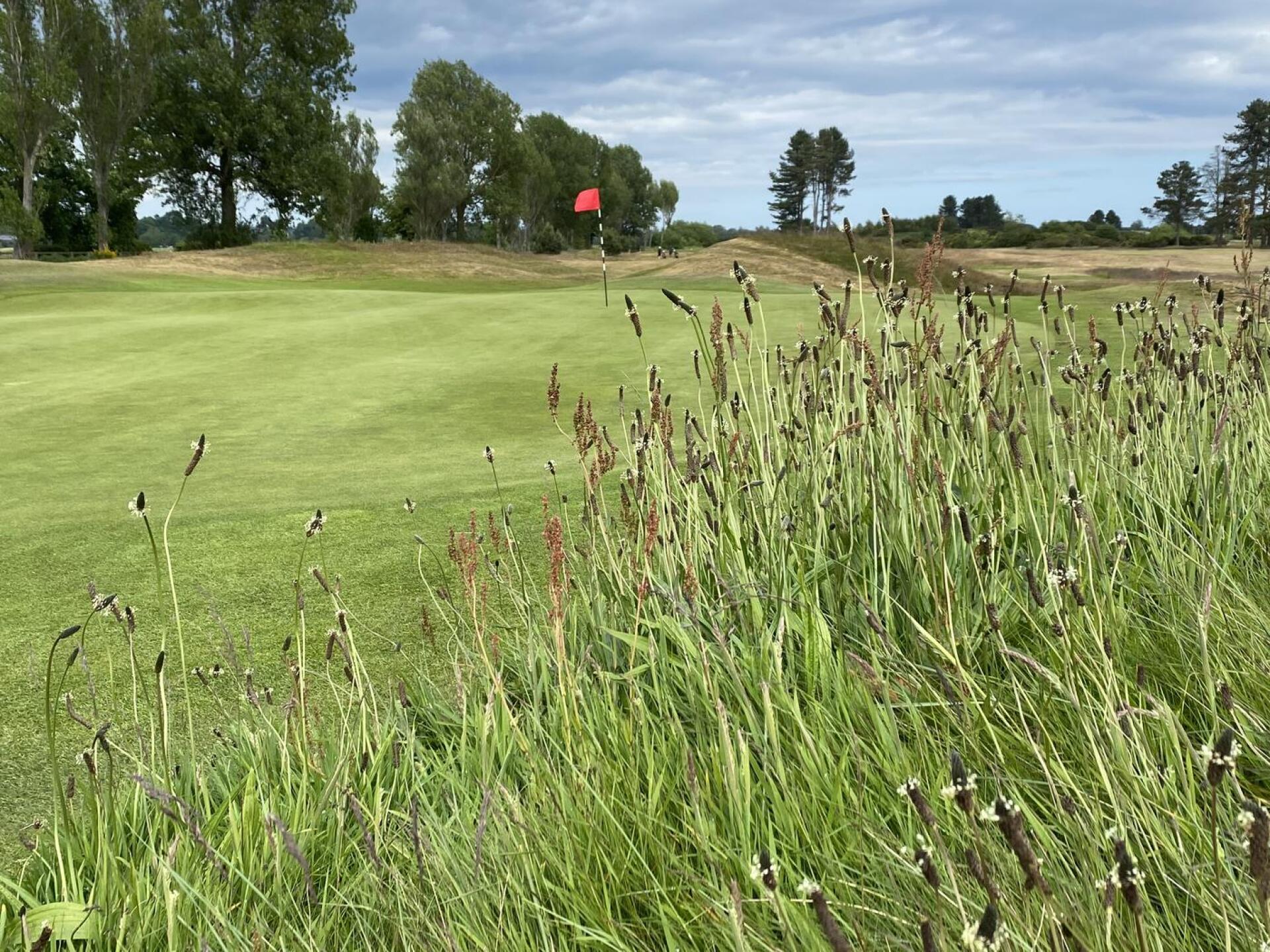 (Photo submitted by u204270655 on 06/16/2022)