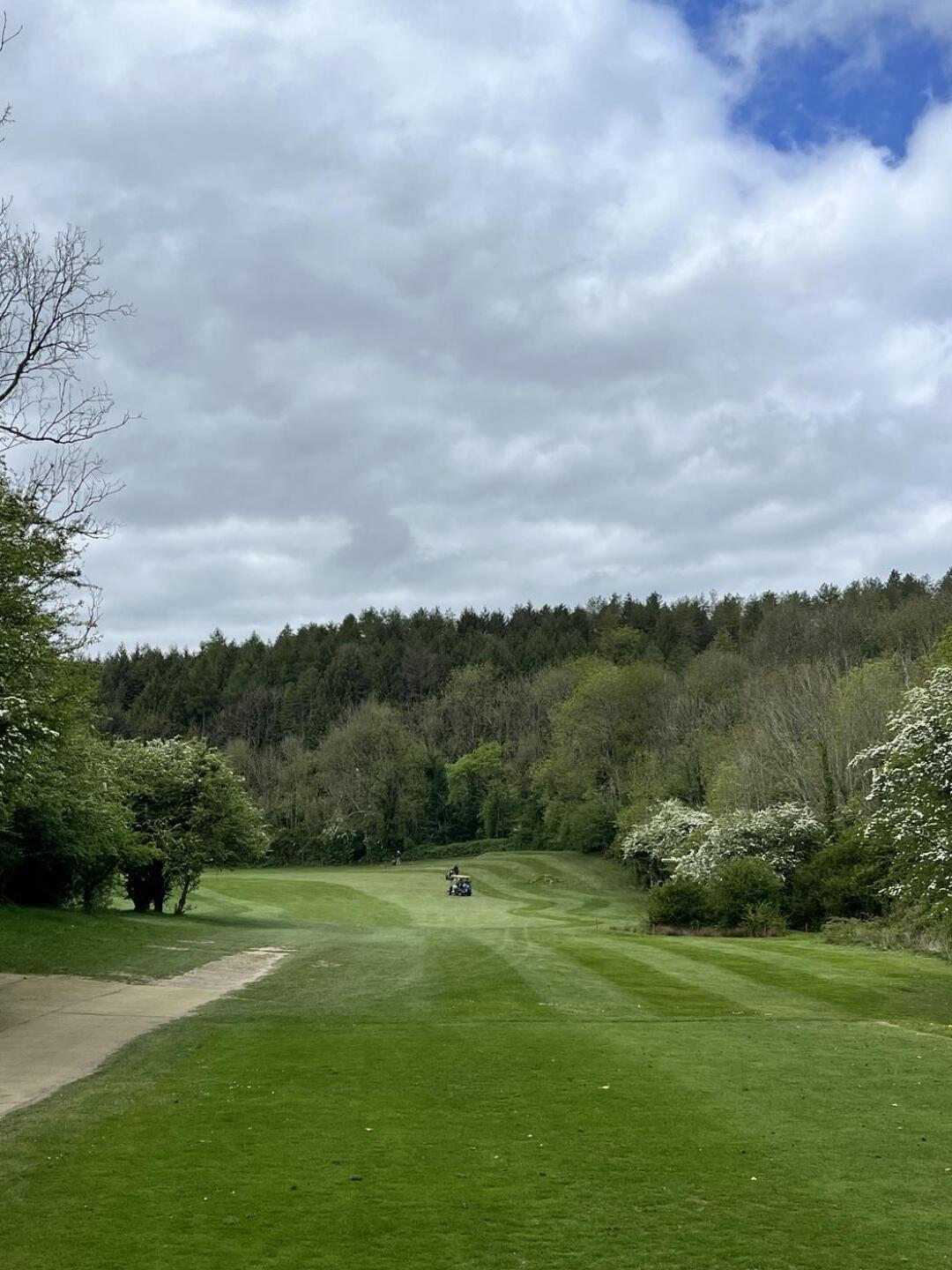 (Photo submitted by Leopup17 on 05/06/2025)