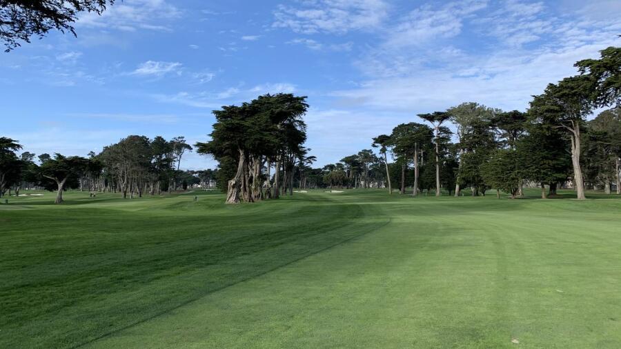 TPC Harding Park - trees