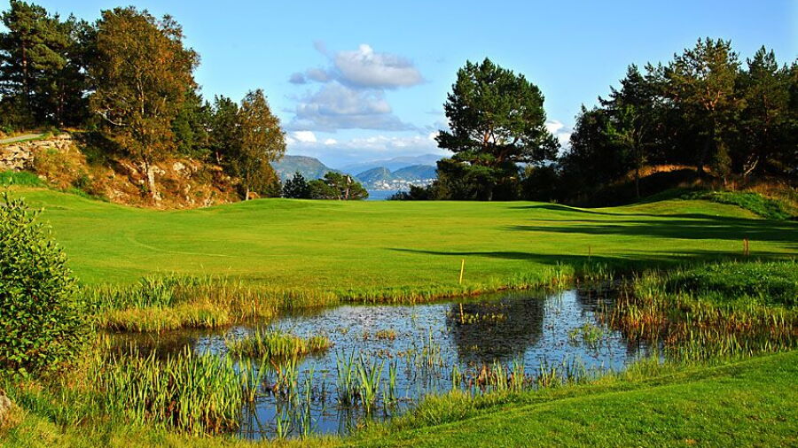 Meland GC: #8