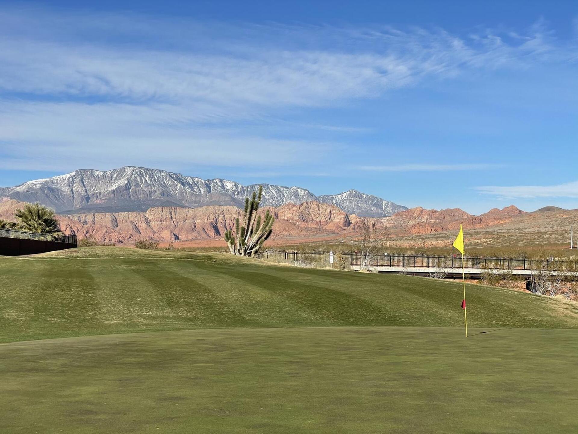 (Photo submitted by brittped on 02/19/2021)