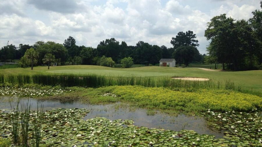 Red Bank Plantation: #11