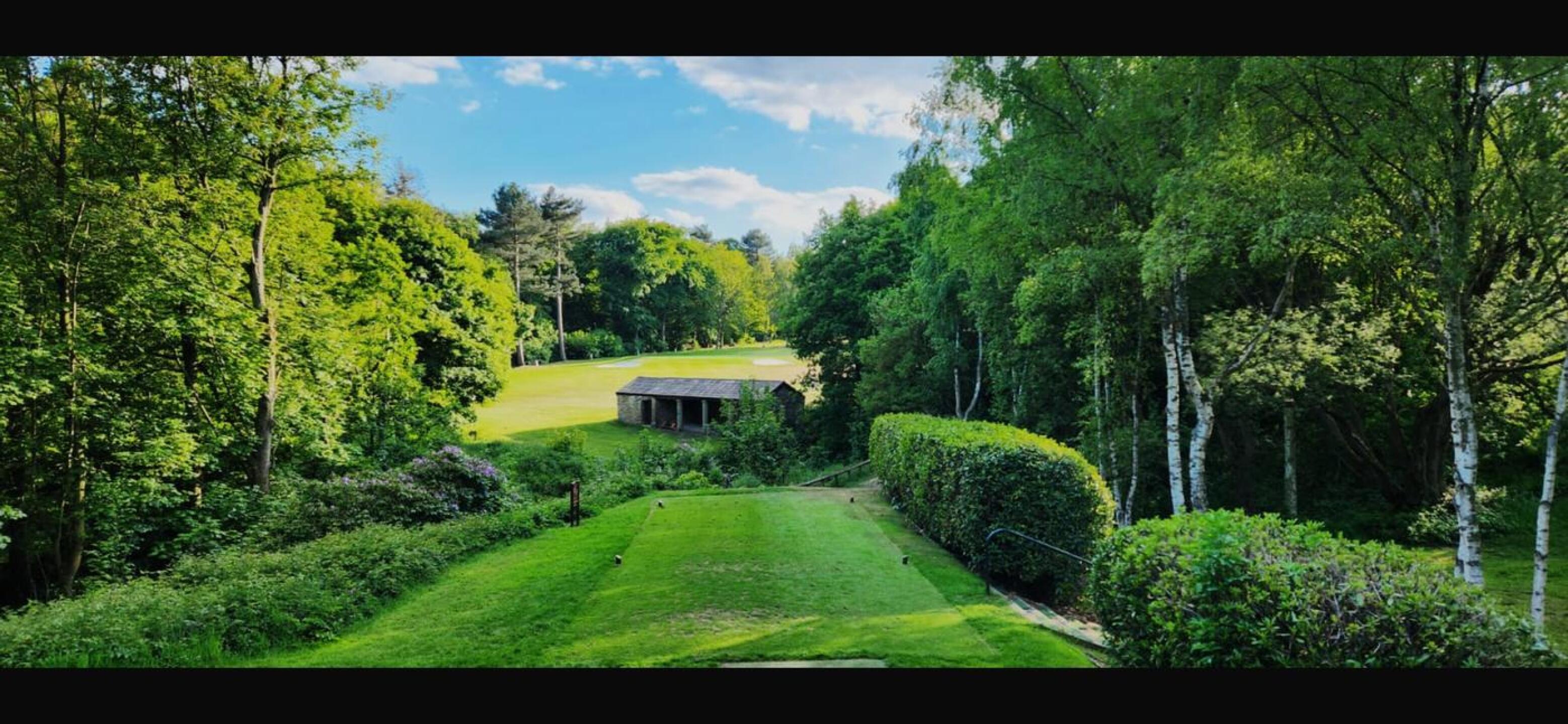 (Photo submitted by jTvteH6p2xlFsjJ4sYvG on 05/25/2025)