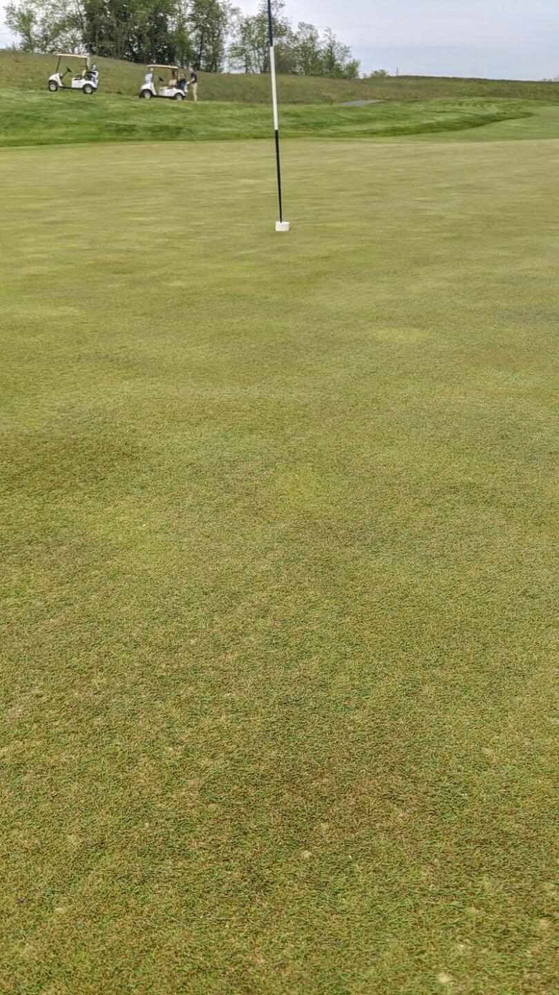 The green conditions as of 5/18/20. (Photo submitted by Back9Ben on 05/21/2020)