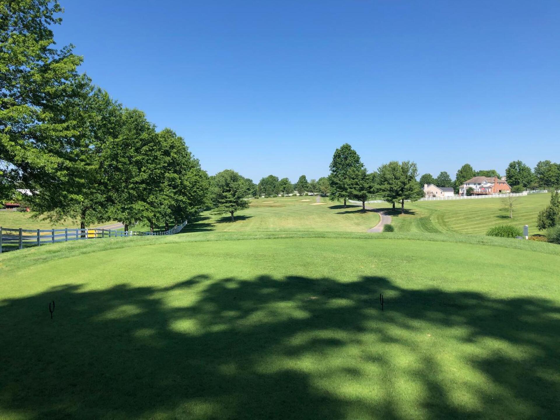 (Photo submitted by al1V1L9pPuwr9U7Msrh0 on 06/30/2020)