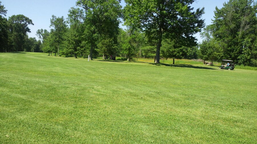 North Shore GC