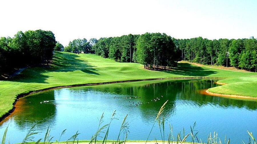 Towne Lake Hills GC: #8
