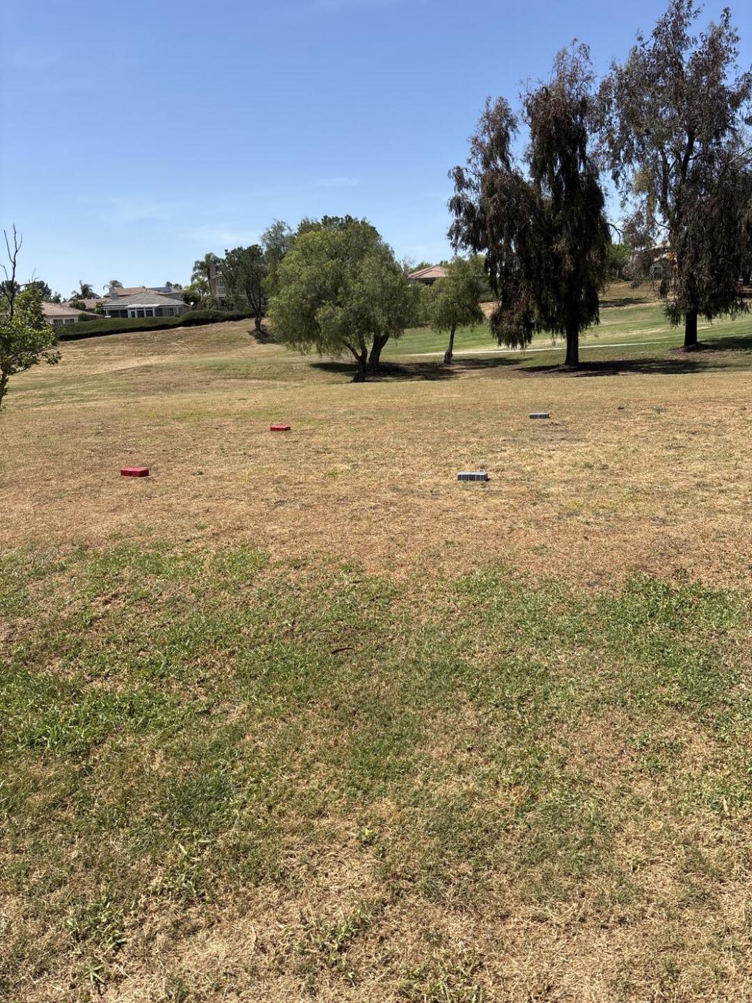 (Photo submitted by u314161230502 on 04/18/2026)