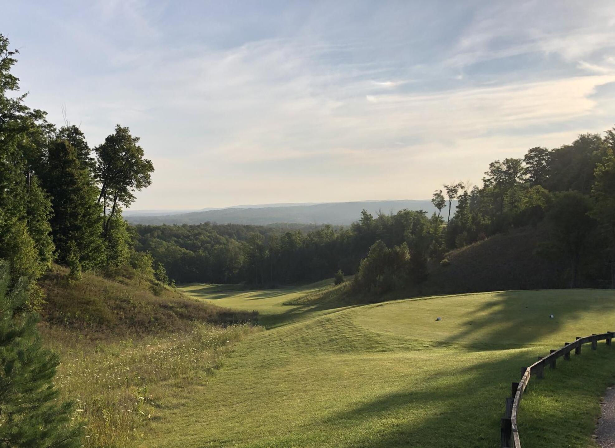 (Photo submitted by zcd1 on 08/03/2021)