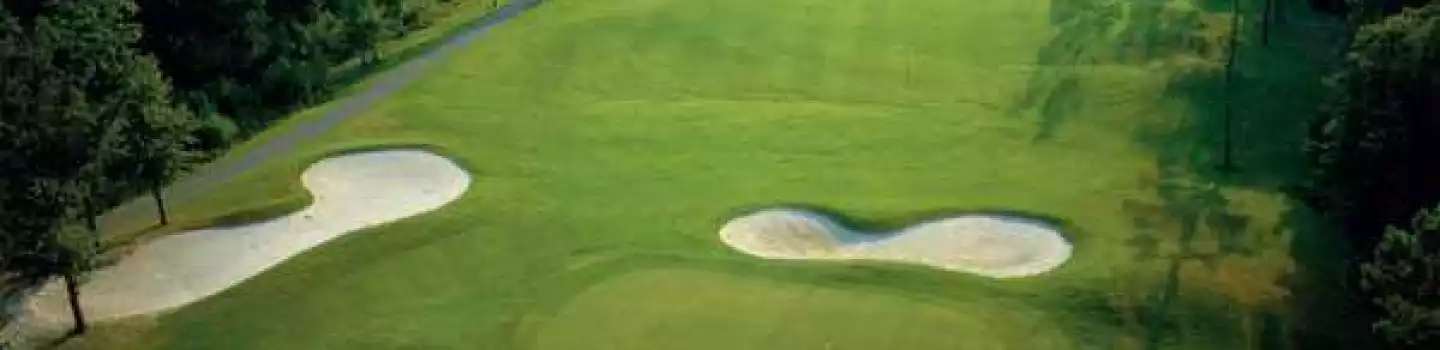 Diamondback Golf Course: Aerial
