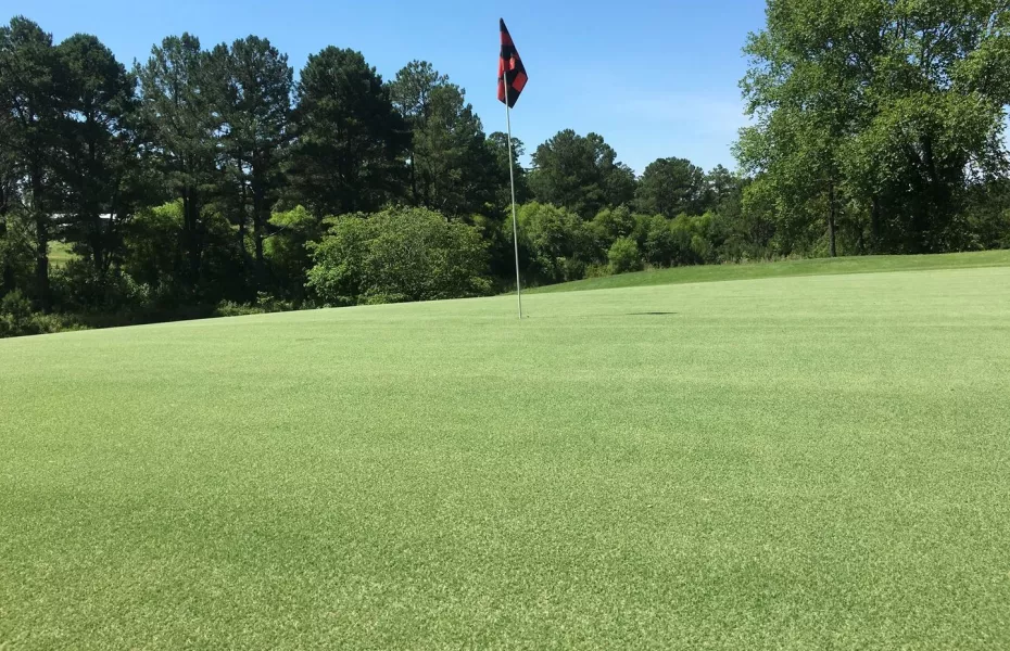 Badin Inn Golf Resort & Club in Badin, North Carolina, USA GolfPass