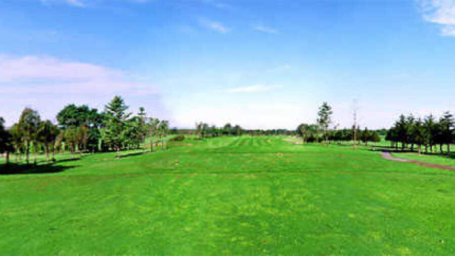 Shamrock CC: #10