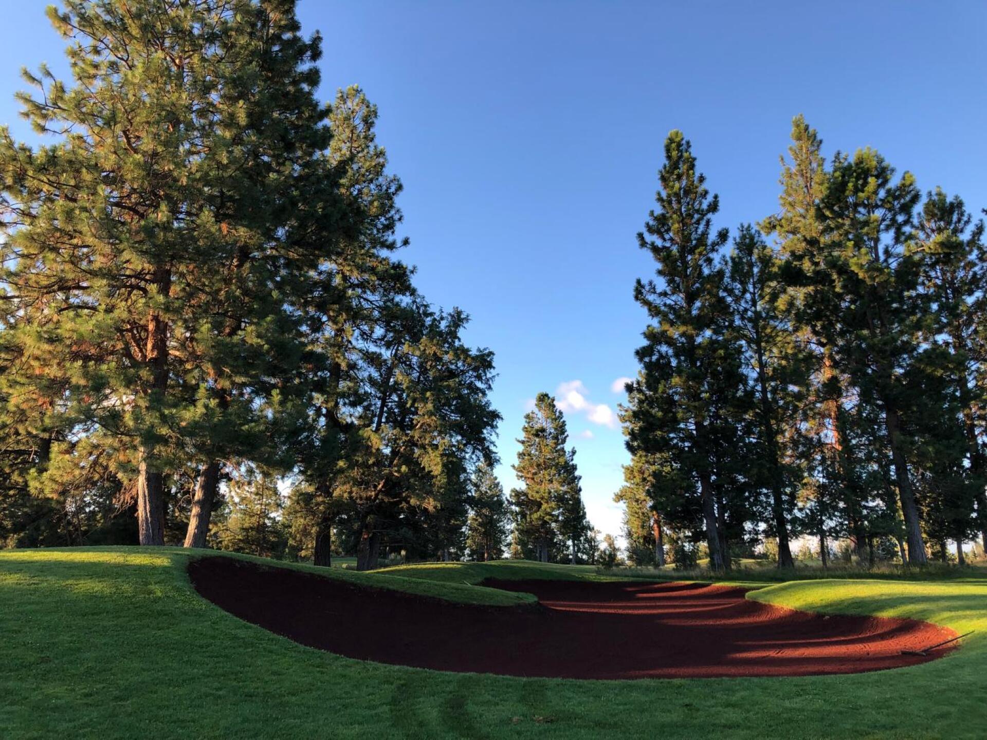 (Photo submitted by 2IZsGL6tTEGur9gNQI4e on 07/24/2019)