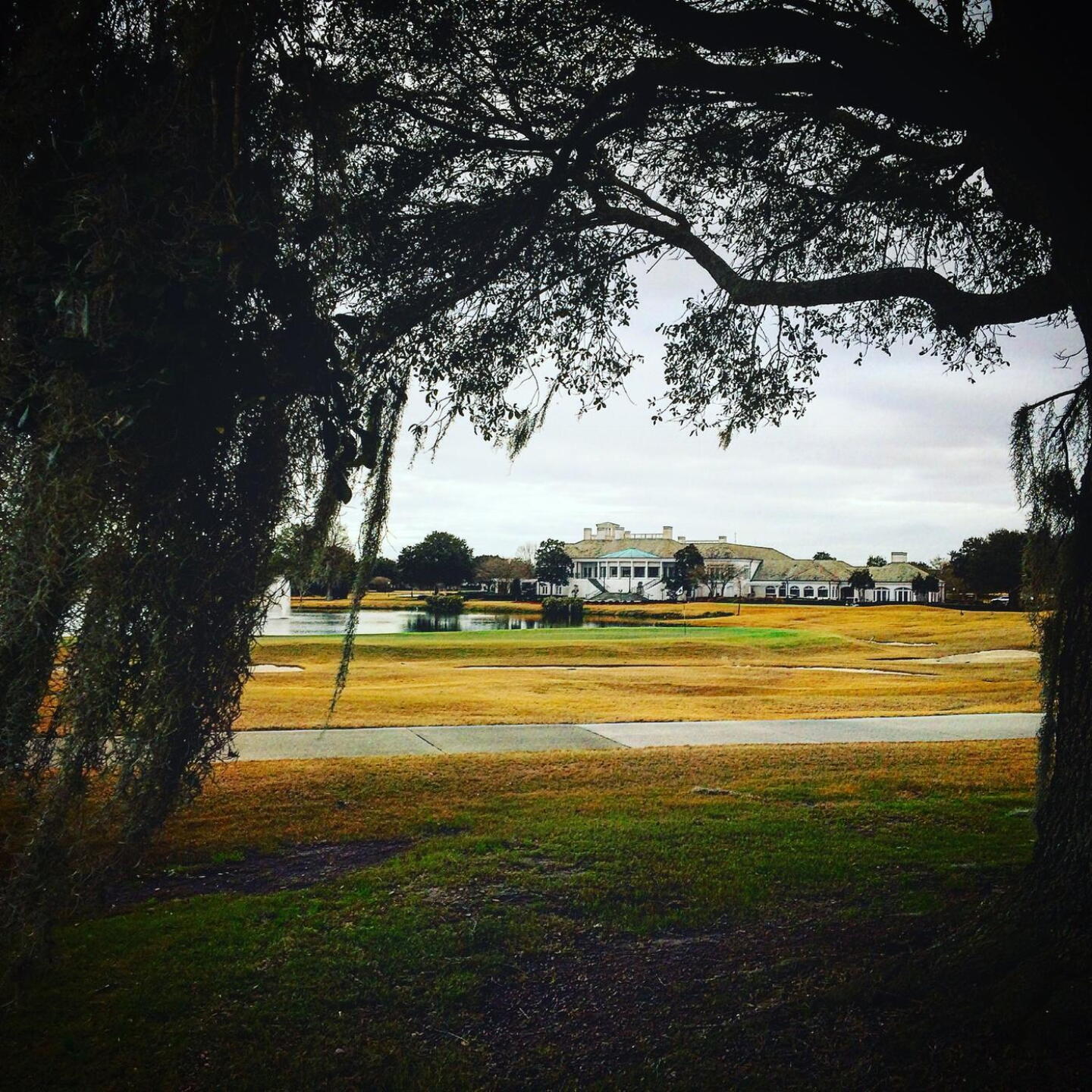 From behind 18th green (Photo submitted by BrandonWebb on 01/13/2017)