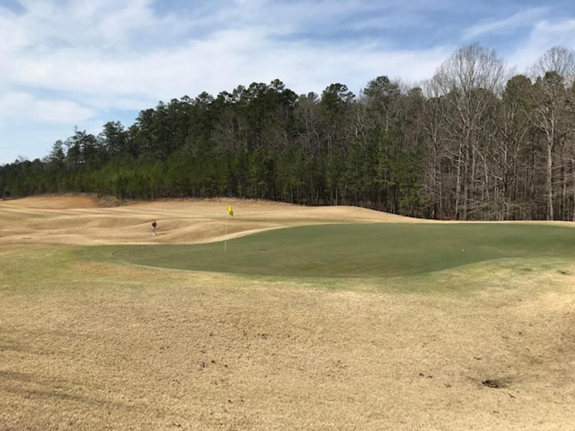 Par 5- (Photo submitted by wermer3 on 03/15/2021)