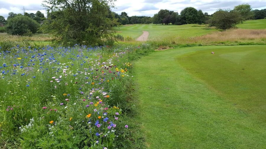 Great Barr GC