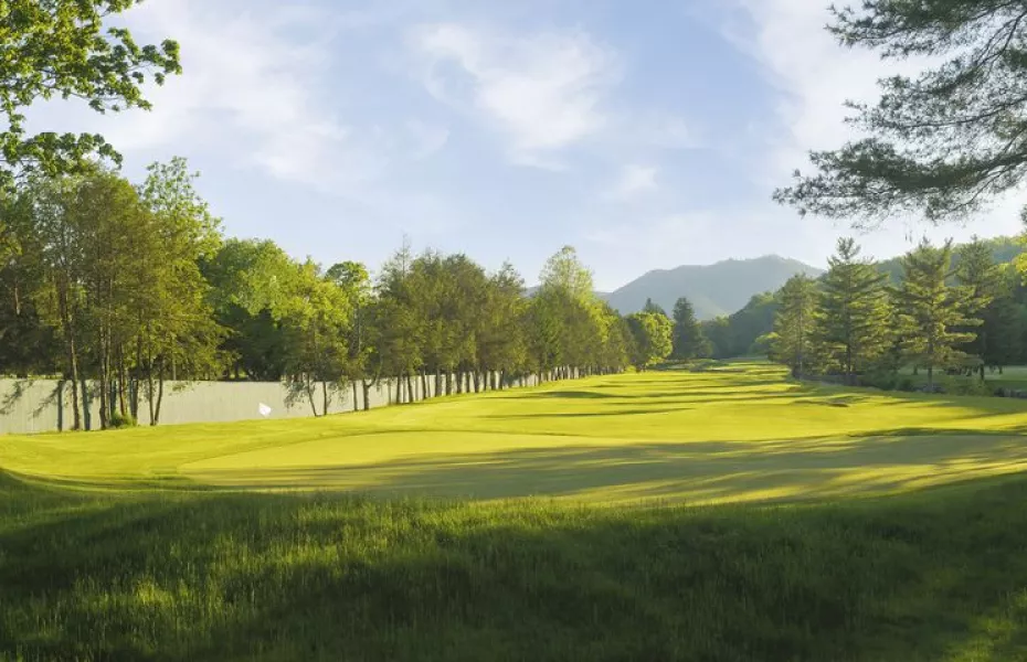 Greenbrier - Meadows: #4