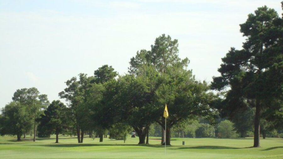Palmetto CC