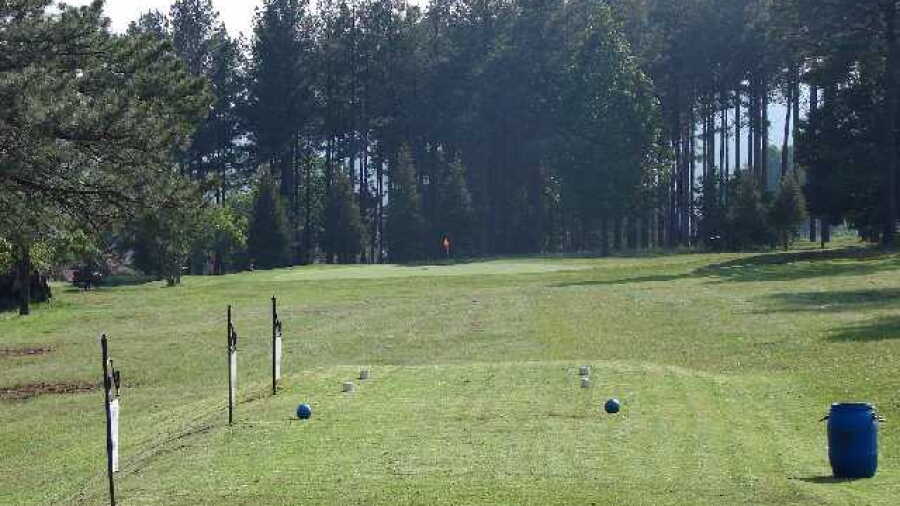 Greytown CC
