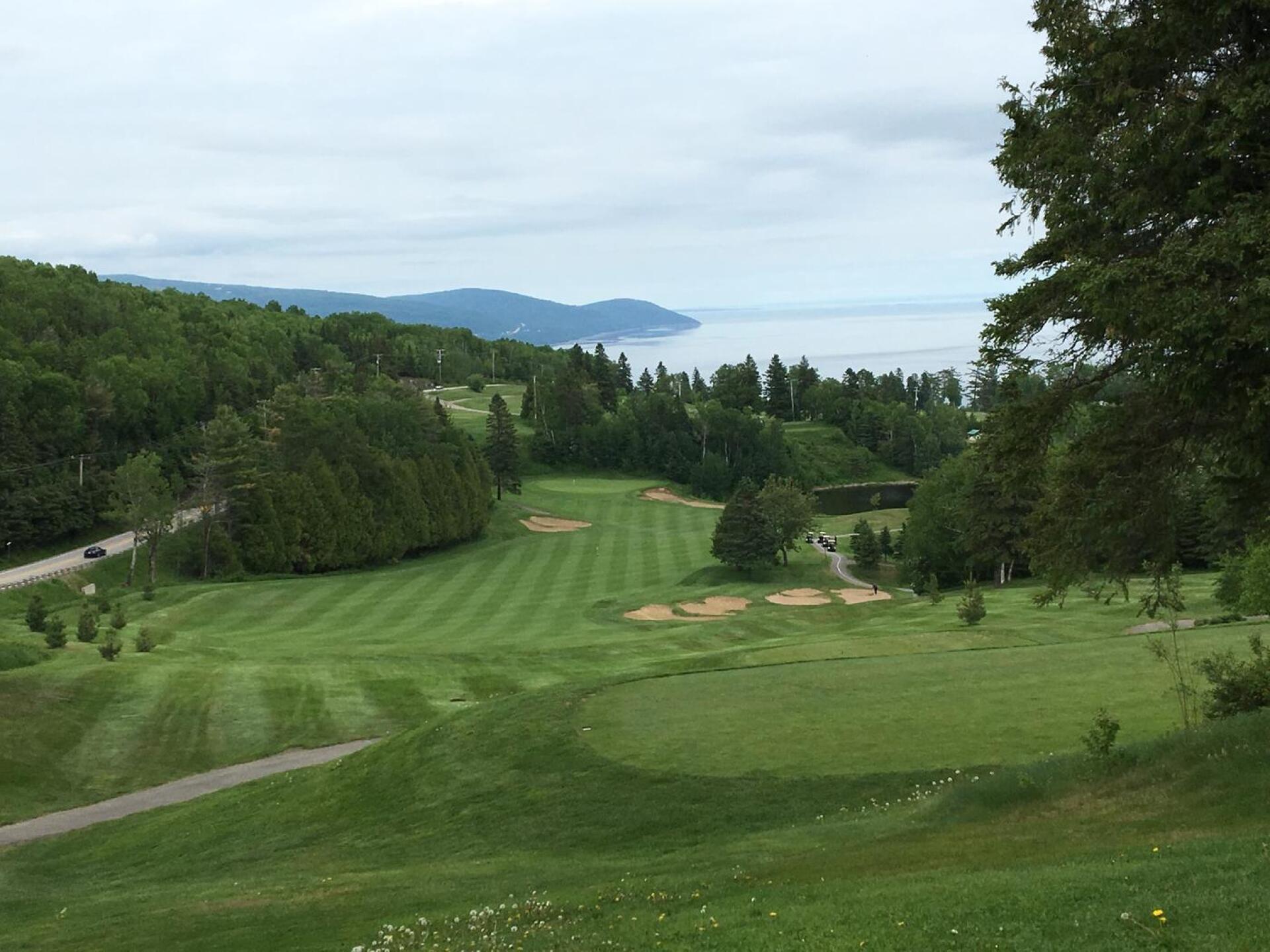 (Photo submitted by BabyLama2014 on 06/19/2017)