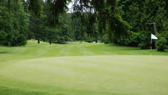 Meadowmeer GCC: #4