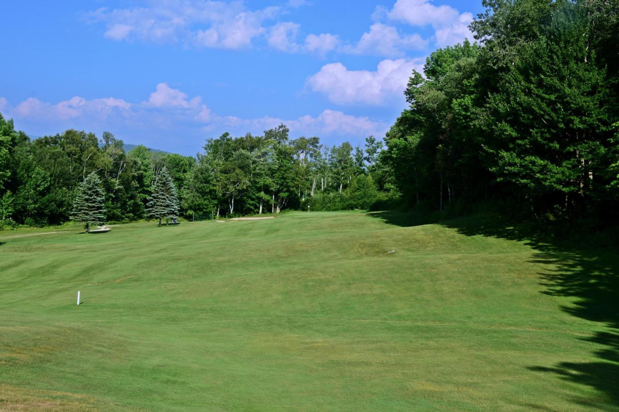 The right side of hole five (par-4, 372 yards) is not a friend to slicers of the golf ball. (Photo submitted by AptlyLinked on 07/22/2025)