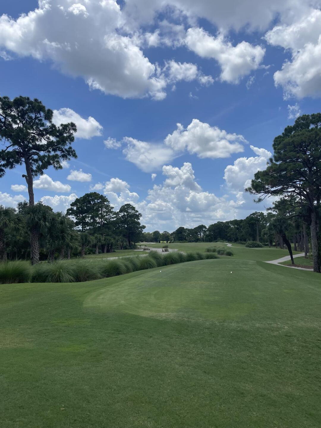 Birdied this one (Photo submitted by James1400881 on 07/08/2024)