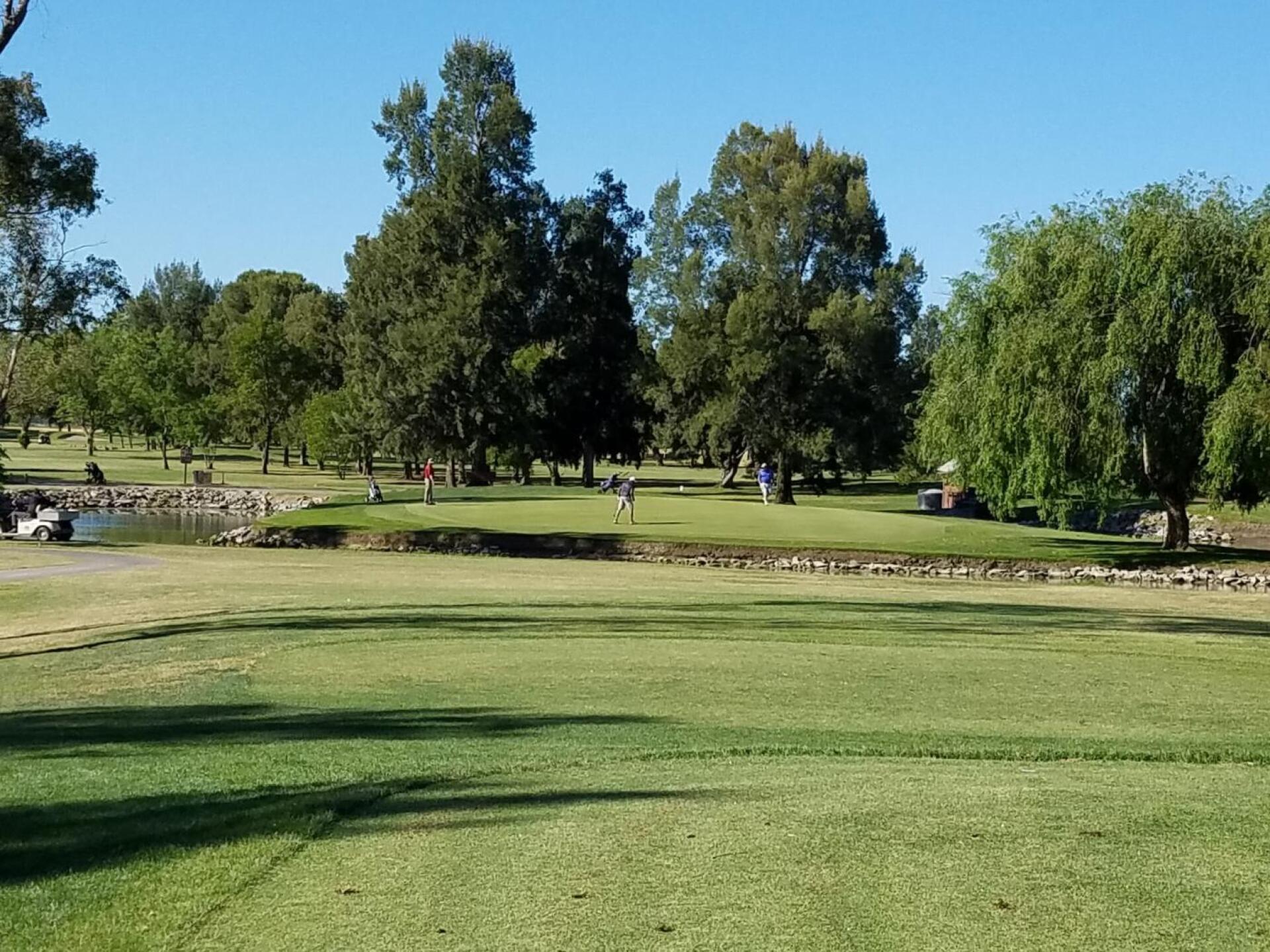 14+ Davis Muni Golf Course
