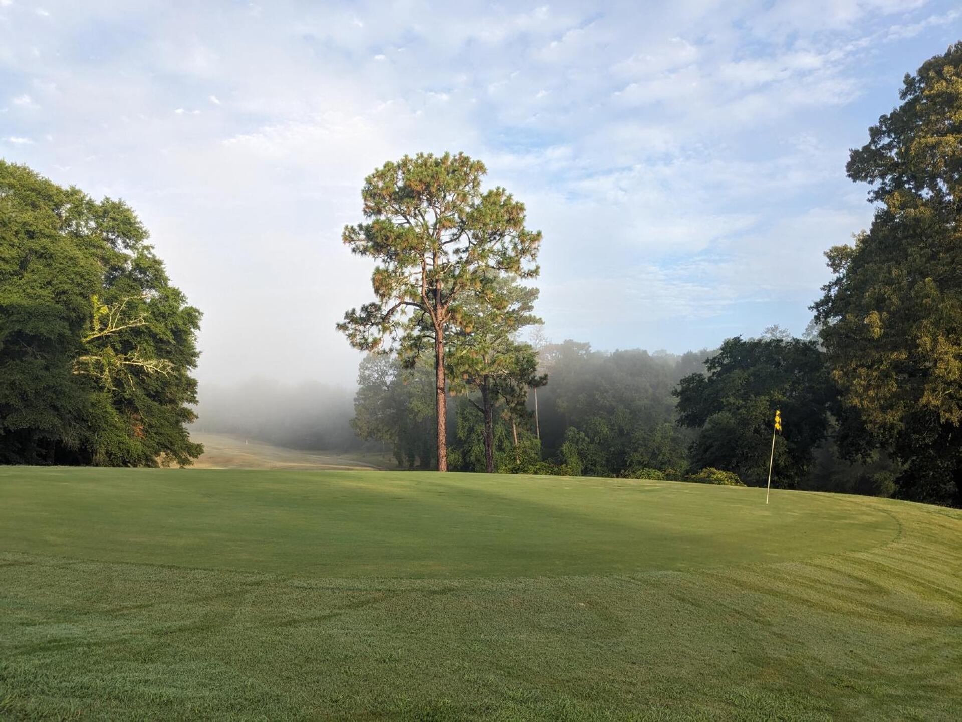 (Photo submitted by sqwrwYgHfQsGOerJTj5W on 09/22/2024)