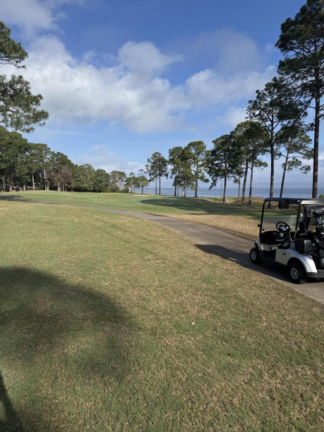 (Photo submitted by Milledgea2013 on 03/12/2026)