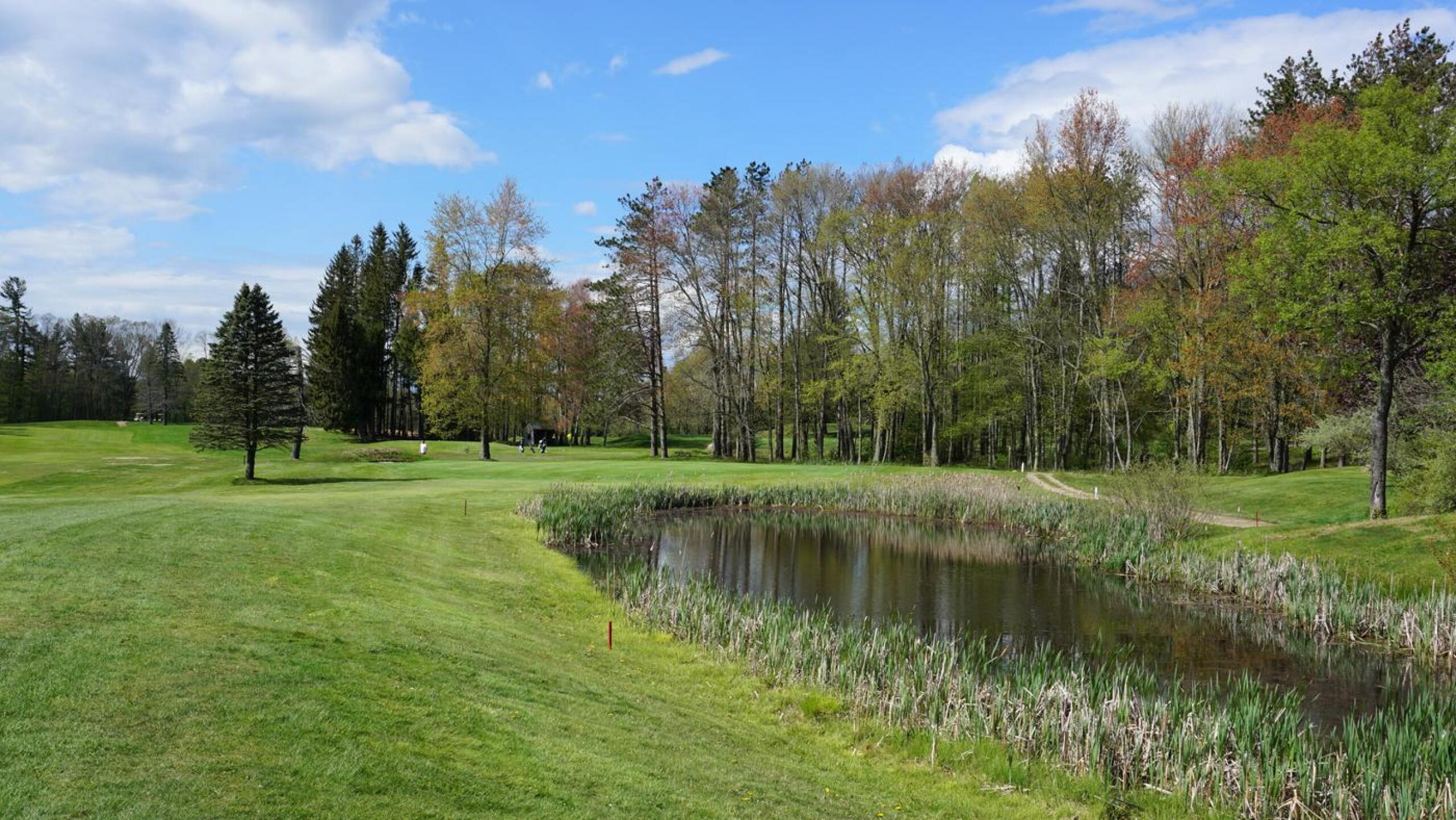 A short par-3: Tee shot at the uphill fifth must cross a reedy pond. (Photo submitted by AptlyLinked on 05/13/2021)