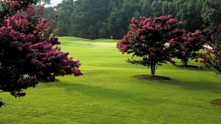 Brays Island Plantation GC