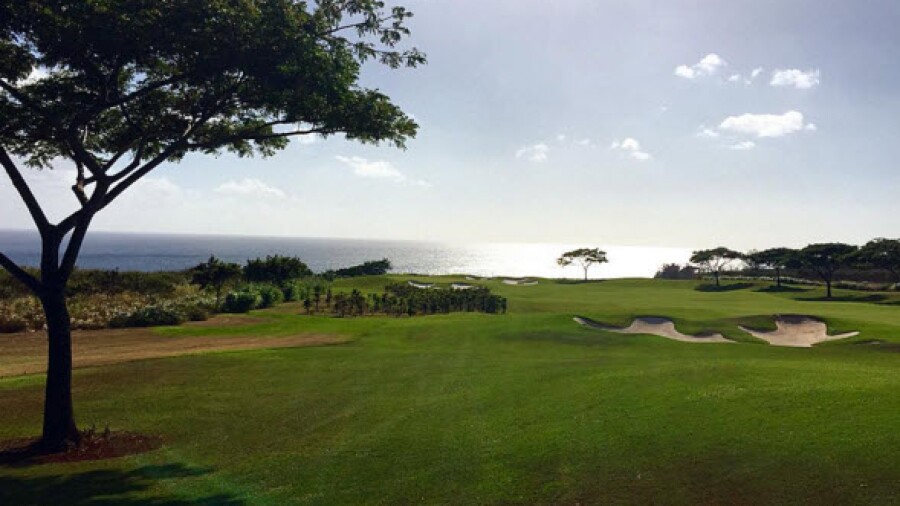 13 - Living The Green - November 2015 - ryanevert