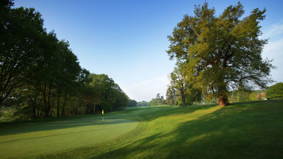 Burhill GC - Old: #17
