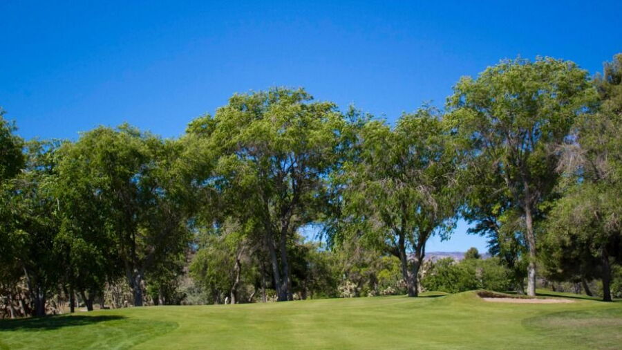 Antelope Valley CC