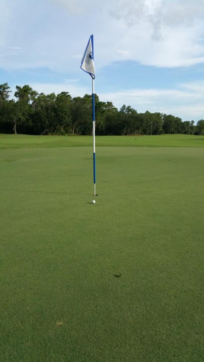 (Photo submitted by Shawn5932249 on 07/22/2015)