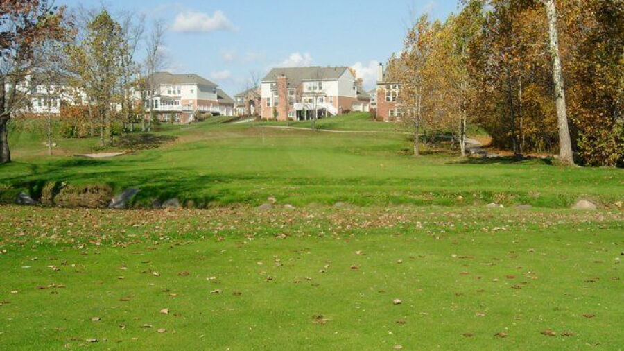 Gray Eagle GC